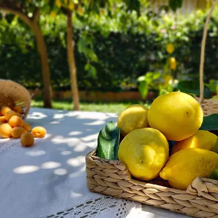 Casa Amorino Bed & Breakfast 3*